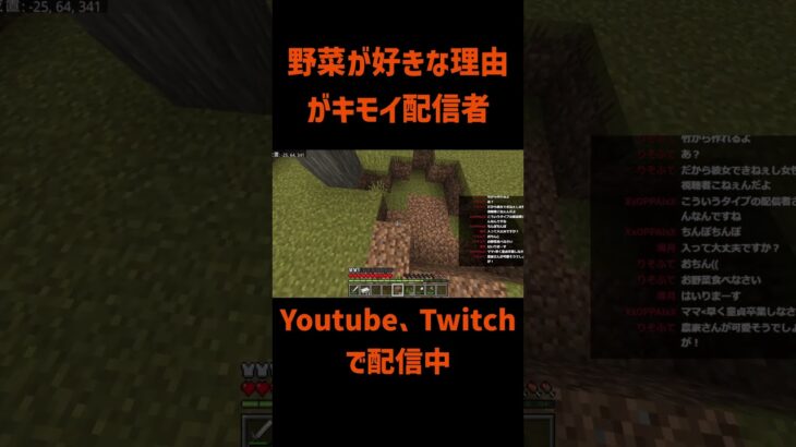 本当はドレッシングだけで飲みたい　#minecraftshorts  #minecraft  #ゲーム実況 #マインクラフト #マイクラ #ねる #マイクラ統合版参加型