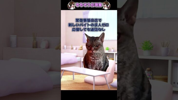 ゲーム実況者に転職した話【猫ミーム】 #猫ミーム #猫ミーム日常 #ゲーム実況者  #shorts