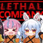 【Lethal Company】#ホロカンパニー 出勤のお時間！！！！！！ぺこ！【ホロライブ/兎田ぺこら】