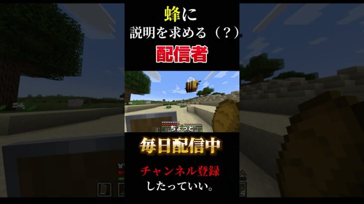 蜂に説明を求める（？）配信者 #ゲーム実況 #底辺配信者 #マイクラ＃Minecraft#shorts