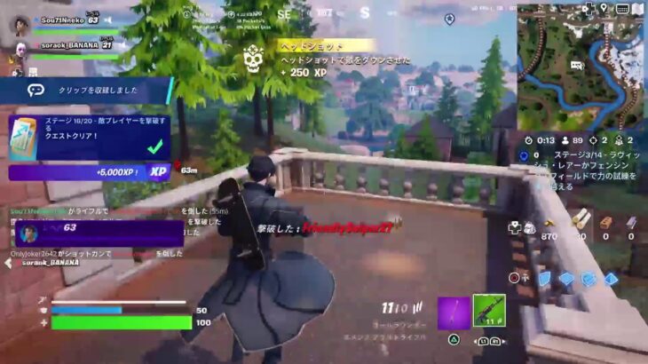 #PS5 N猫のliveゲーム配信Fortnite遊ぶ！