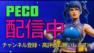 フォートナイト  配信　ランク　朝活 #fortnite #ライブ