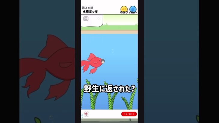 放流される金魚ぼっち #ゲーム実況 #shorts