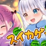 【スイカゲーム】怪獣とオフコラボでスイカやる【湊あくあ/神楽めあ/ホロライブ】