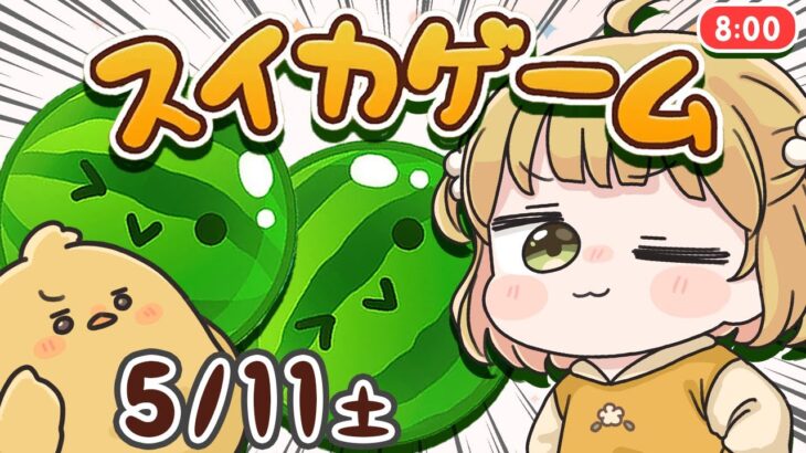 【スイカゲーム】ダブルスイカをつくる朝練🍉🍉5/11(土)🐓