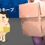 垢BANになるかもしれない伝説のゲーム実況動画。【箱だけのブルース】