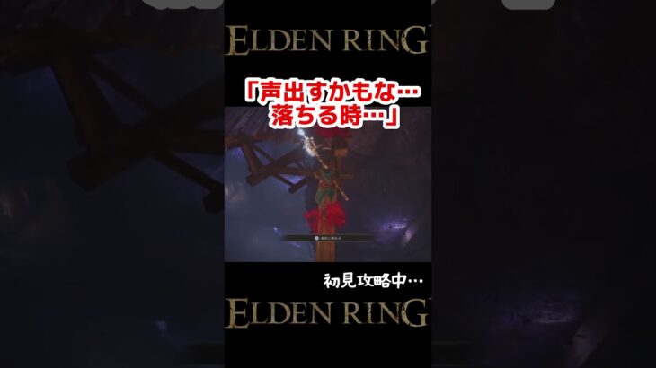 すぐにフラグを回収する褪せ人【ELDEN RING】 #ゲーム実況  ＃エルデンリング #shorts