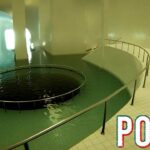 圧倒的な評価を受けた「異常なほど不気味な空間を歩くだけ」のゲーム『 POOLS 』