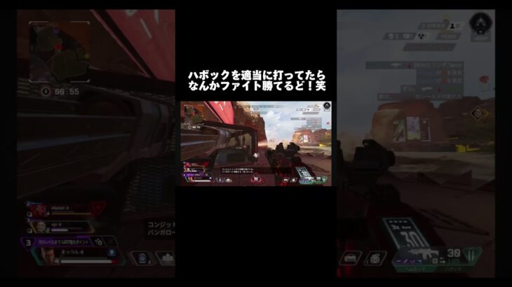 久々にエペやったらハボック最強すぎた笑 #apex #ライブ #ゲーム実況