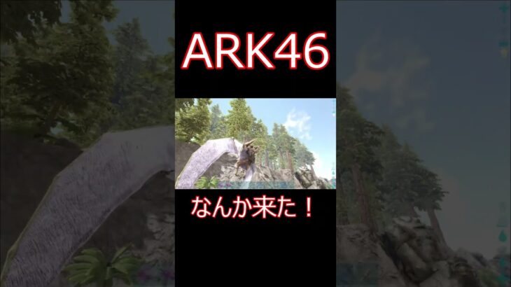 蜂みたいなのに追われるんですけど；； ゲーム実況  #shorts 【ARK】survivalevolved