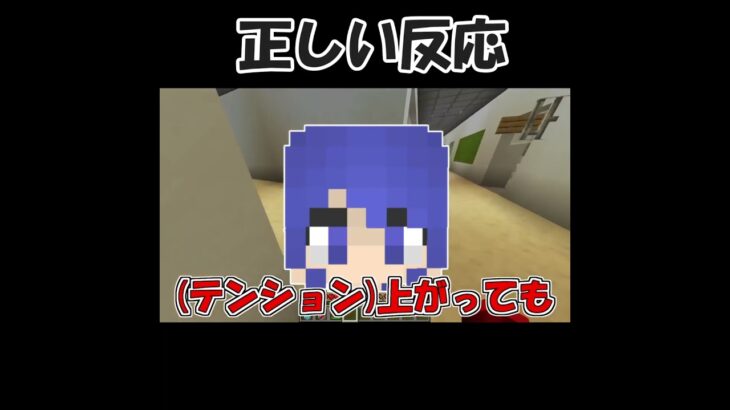 正しい反応#shorts #ゲーム #ゲーム実況 #茶番 #切り抜き #minecraft #マイクラ #マインクラフト #コラボ