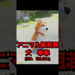 殺し屋犬とワニサッカー #切り抜き #ゲーム実況 #槙まき