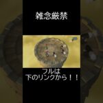 雑念厳禁#ゲーム実況 #ショート #ショート動画 #wii #マリオパーティ #マリオパーティ9