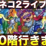 もっと不思議のダンジョンやるよ！【トルネコ2 ライブ配信】