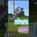 メイスの豆知識5選［マイクラ］#shorts #ゲーム実況 #マイクラ