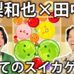 【スイカゲーム】SixTONES田中樹と初めてのゲーム実況でスイカゲームをプレイしたらハマりすぎてしまいました。