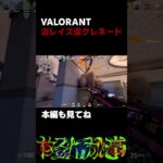 【VALORANT】沼レイズ流グレネード#ゲーム実況#valorant #shorts