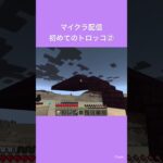 ねこー！#ショート動画 #配信者 #配信切り抜き #配信ライブ #ゲーム実況 #マイクラ #minecraft