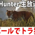 眠くなるまでトラ狩りをするライブ配信【 the Hunter #2 】