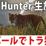 眠くなるまでトラ狩りをするライブ配信【 the Hunter Sundarpatan Nepal Hunting Reserve 】