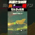 【ゼルダの伝説 BotW】炎のカースガノン戦#shourts #botw #ゲーム実況 #ゼル伝 #zelda #ゼルダの伝説 #ゼルダの伝説ブレスオブザワイルド#リンク#英傑たちの詩 #ダルケル