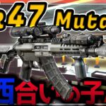 【EFT】最強だった銃 あの銃は今。【ゆっくり実況】