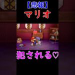 マリオ犯される #ペーパーマリオrpg#ゲーム実況 #悲報