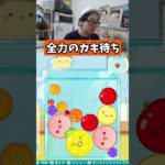 全力のカキ待ち　#ゲーム #ゲーム実況 #サワヤン