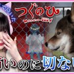 天国から飼い主に会いに行く…犬が主人公のホラーゲーム🐕🐾【つぐのひ～犬のポッキー冒険譚～】【たまちゃん】