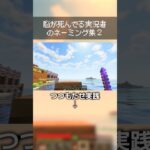 脳が終わっているゲーム実況者のマイクラ名付け集 2