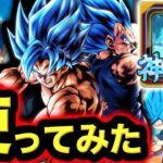 元最強キャラの『紫ゴクベジ』にぶっ壊れユニフラが追加されたので使ってみた【ドラゴンボールレジェンズ６周年】【DRAGONBALL LEGENDS】【ゲーム実況】