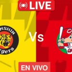 今日の阪神タイガース対広島カープNPB試合ライブゲーム Hanshin Tigers Vs Hiroshima Carp NPB Match Live scores 2024