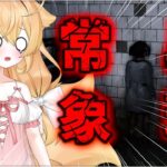 【#Shift87】 #ゲーム実況 ホラーゲーム？ ８番出口みたいなものかな？ 異常現象を探す！ 【PROMISU/セラ】