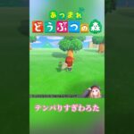 テンパりすぎわろた #shorts #ゲーム実況 #どうぶつの森 #あつ森