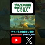 未だにブレワイしてる#shorts #ゲーム実況 #ゼルダの伝説 #ブレワイ