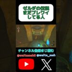 未だにブレワイしてる#shorts #ゲーム実況 #ゼルダの伝説 #ブレワイ