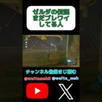 未だにブレワイしてる#shorts #ゲーム実況 #ゼルダの伝説 #ブレワイ