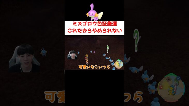 ミズゴロウ色証厳選 #ゲーム実況 #shorts #ポケモン #ポケモンSV #なおきちゃ