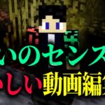 おそらく「病気の人」が編集したゲーム実況