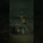 【伝説】ダメージを受けたら即終了のゼルダの伝説 #ティアーズオブザキングダム  #ゼルダの伝説  #ゲーム実況