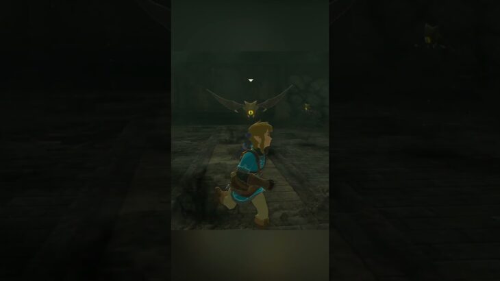 【伝説】ダメージを受けたら即終了のゼルダの伝説 #ティアーズオブザキングダム  #ゼルダの伝説  #ゲーム実況