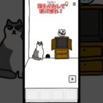 【謎解き】猫まみれの部屋から家に帰れ！#ゲーム実況 #ゲーム #おもしろ #スマホゲーム