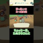 【あつ森】酔っ払いごはんのゲーム実況【どっちから受け取る？】