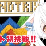 【#ゲーム実況 】巷で話題の『砂テトリス』やるぞぉー！【#vtuber #雪水める 】