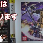 【初見プレイ】ガンダム無双2【#アクションゲーム #ガンダム #ゲーム実況 #Vtuber #PS3】