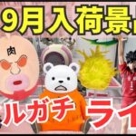 【ライブ中継】9/10 ベネクス川崎でクレーンゲーム攻略新景品祭り！リアルガチチャレンジ！