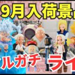 【ライブ中継】9/19 ベネクス川崎でクレーンゲーム攻略新商品祭り！リアルガチでチャレンジ！