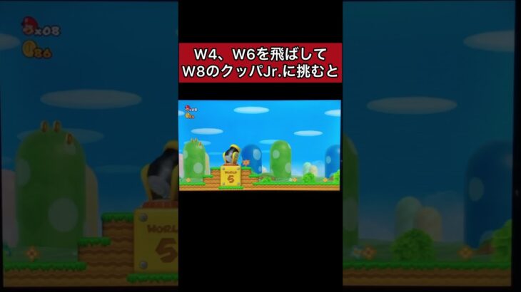 懐かしのNewスーパーマリオブラザーズWiiの小ネタ！ #ゲーム実況 #マリオシリーズ #ゲーム #レトロゲーム #マリオ