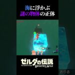 遠目からじゃ何かわからないよねってこと #ゲーム実況#ゼルダの伝説＃ブレワイ＃Shorts