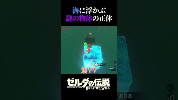 遠目からじゃ何かわからないよねってこと #ゲーム実況#ゼルダの伝説＃ブレワイ＃Shorts